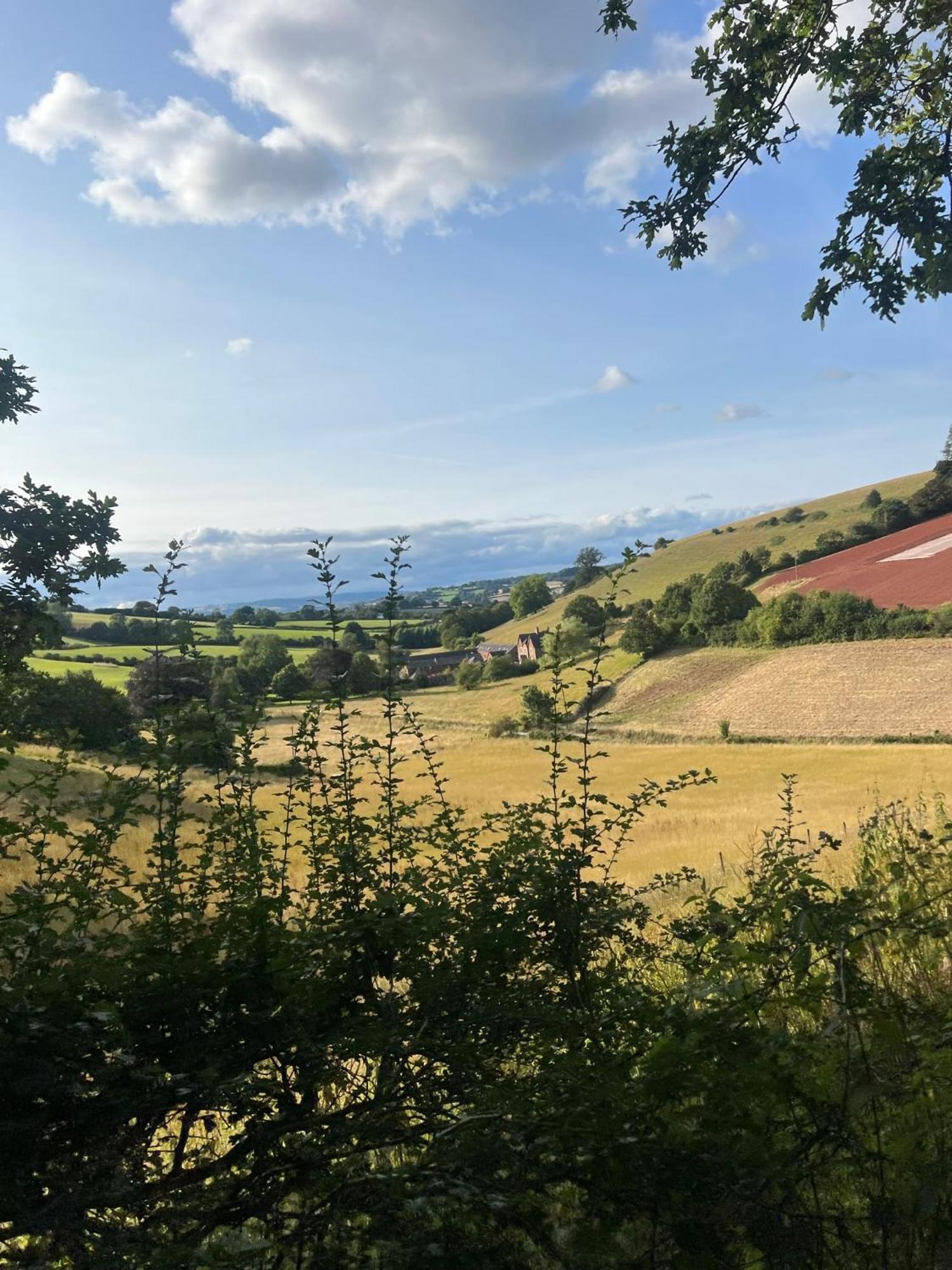 Countryside Converted Barn With Hot Tub Newton Abbot Zewnętrze zdjęcie